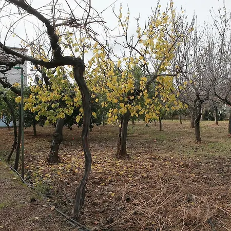 Via Roma פאסאנו